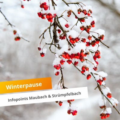 wisotel Aktuelles Meldung Winterpause Infopoints